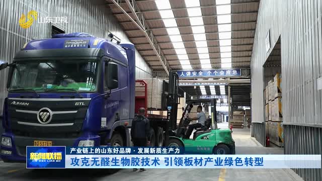 攻克无醛生物胶技术 引领板材产业绿色转型【产业链上的山东好品牌·发展新质生产力】