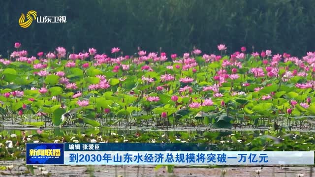 到2030年山东水经济总规模将突破一万亿元