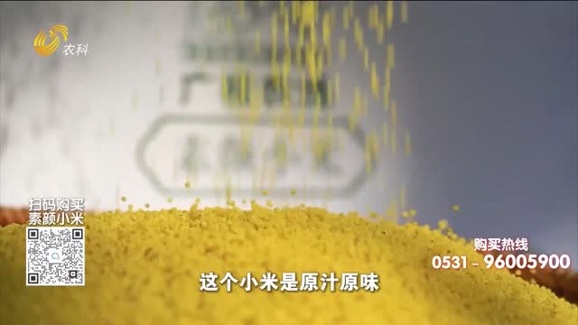 20260718《中国原产递》：素颜小米