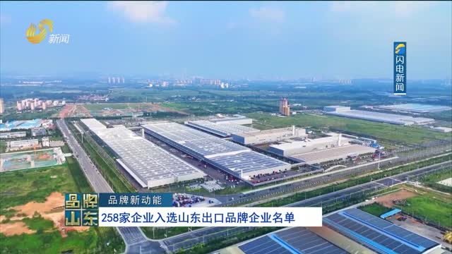 【品牌新动能】258家企业入选山东出口品牌企业名单