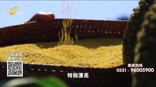 20260719《中国原产递》：广视农场
