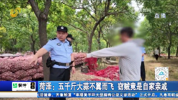 菏泽：五千斤大蒜不翼而飞 窃贼竟是自家亲戚