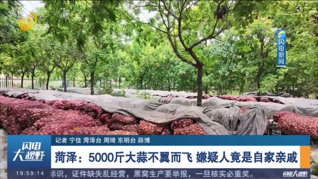 菏泽：5000斤大蒜不翼而飞 嫌疑人竟是自家亲戚