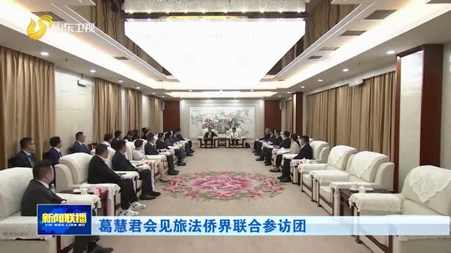 葛慧君会见旅法侨界联合参访团