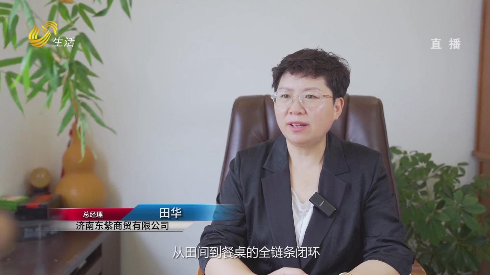 山东直通车：链通阡陌破产销之困 深耕流通筑振兴之基——济南东紫商贸有限公司