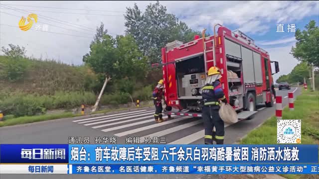 烟台：前车故障后车受阻 六千余只白羽鸡酷暑被困 消防洒水施救