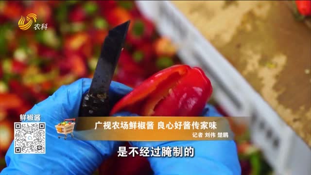 20260726《中国原产递》：鲜椒酱
