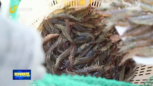 盐田虾游出大产业【市县动态】