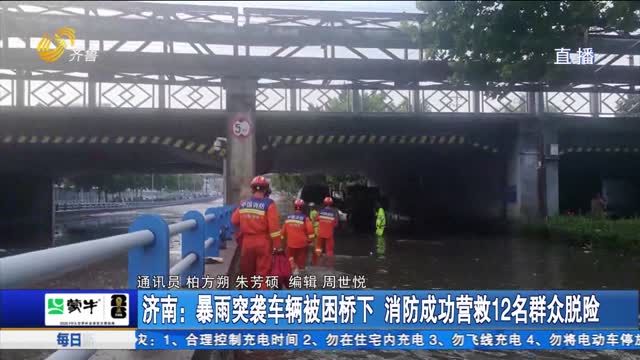 济南：暴雨突袭车辆被困桥下 消防成功营救12名群众脱险