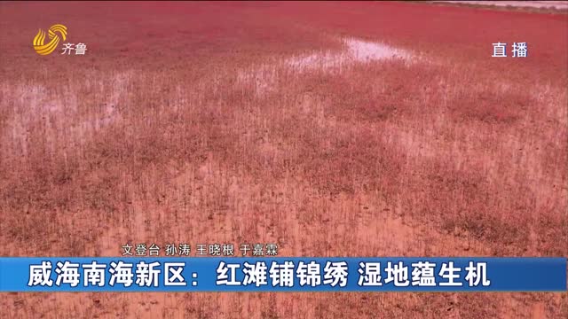 威海南海新区：红滩铺锦绣 湿地蕴生机