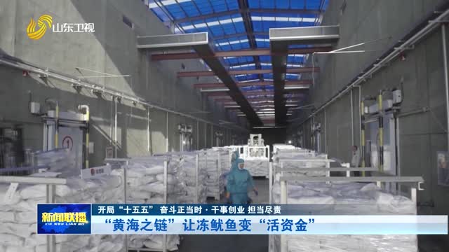 “黄海之链”让冻鱿鱼变“活资金”【开局“十五五” 奋斗正当时·干事创业 担当尽责】