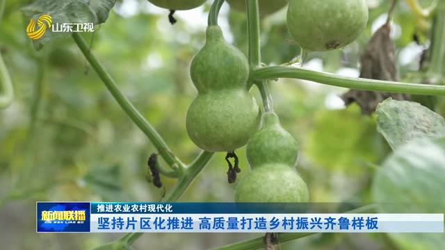 坚持片区化推进 高质量打造乡村振兴齐鲁样板【推进农业农村现代化】