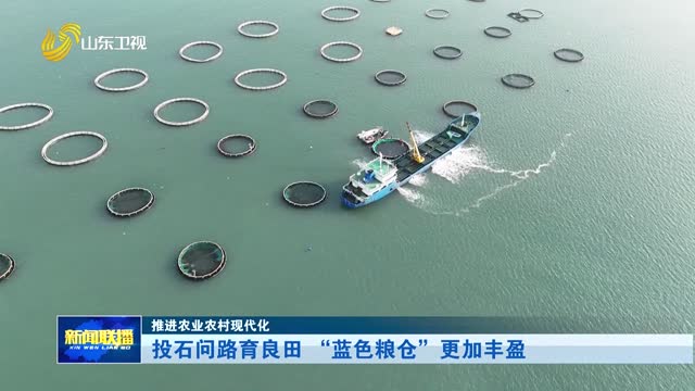 投石问路育良田 “蓝色粮仓”更加丰盈【推进农业农村现代化】