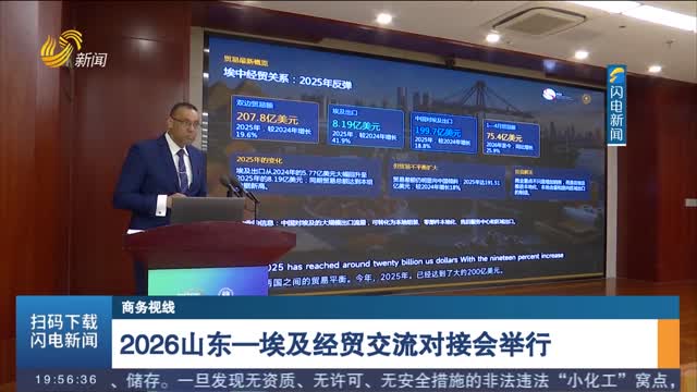 2026山东—埃及经贸交流对接会举行