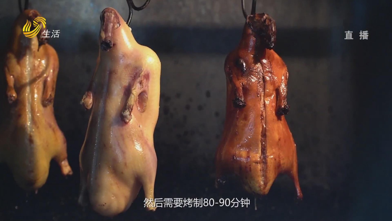 山东直通车：秦皇岛东大港1979餐厅：渤海鲜味传 匠心三十载