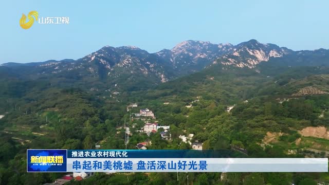 串起和美桃墟 盘活深山好光景【推进农业农村现代化】