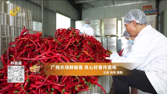 20260801《中国原产递》：广视农场鲜椒酱