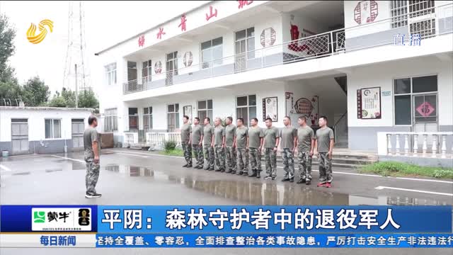 平阴：森林守护者中的退役军人