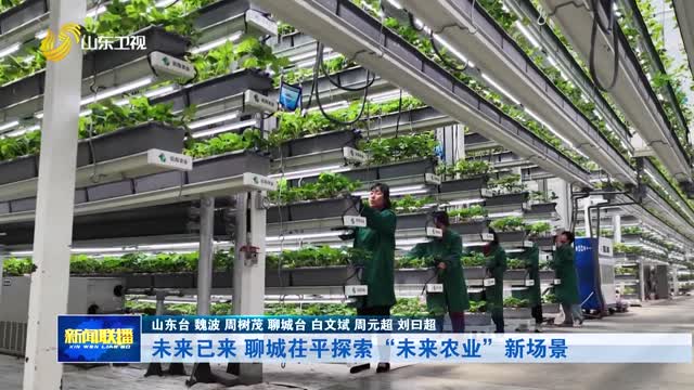 未来已来 聊城茌平探索“未来农业”新场景【推进农业农村现代化】