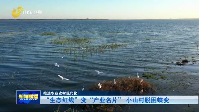 “生态红线”变“产业名片” 小山村脱困蝶变【推进农业农村现代化】