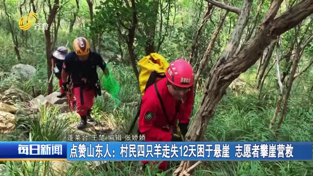 点赞山东人：村民四只羊走失12天困于悬崖 志愿者攀崖营救