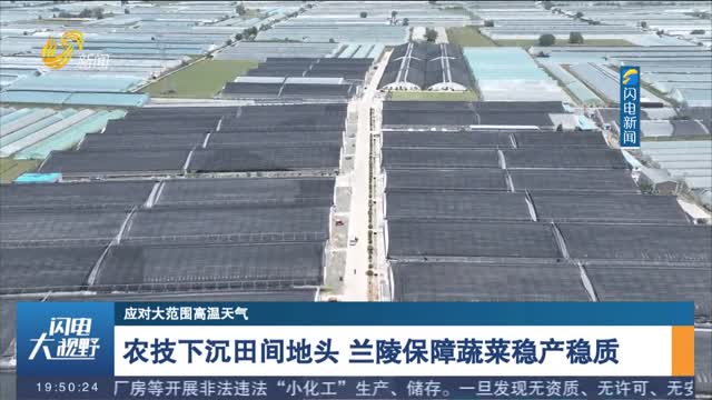 【应对大范围高温天气】农技下沉田间地头 兰陵保障蔬菜稳产稳质