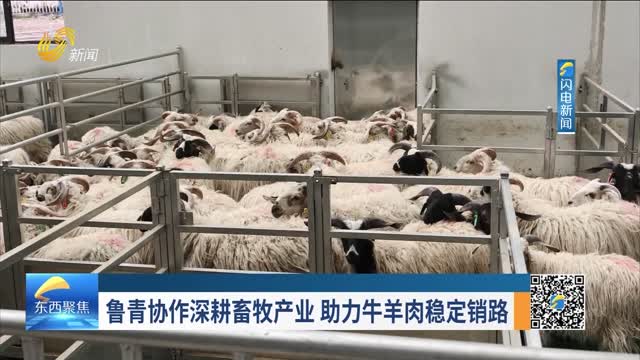 2026年08月04日《东西有约》完整版