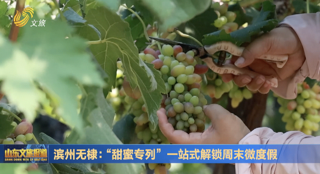 滨州无棣：“甜蜜专列”一站式解锁周末微度假