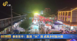 泰安东平：靠湖“兴”湖 点亮乡村振兴路
