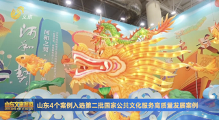 山东4个案例入选第二批国家公共文化服务高质量发展案例