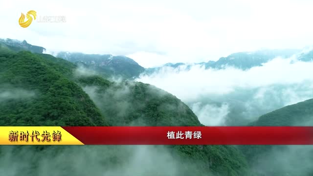 【新时代先锋】植此青绿