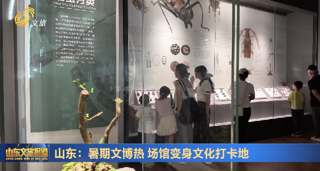 山东：暑期文博热 场馆变身文化打卡地