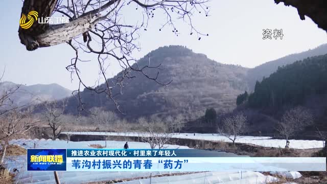苇沟村振兴的青春“药方”【推进农业农村现代化·村里来了年轻人】