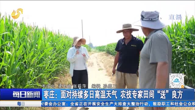 枣庄：面对持续多日高温天气 农技专家田间“送”良方