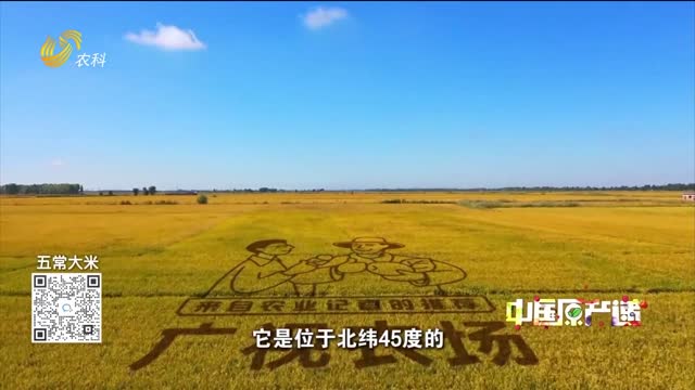 20260808《中国原产递》：五常大米