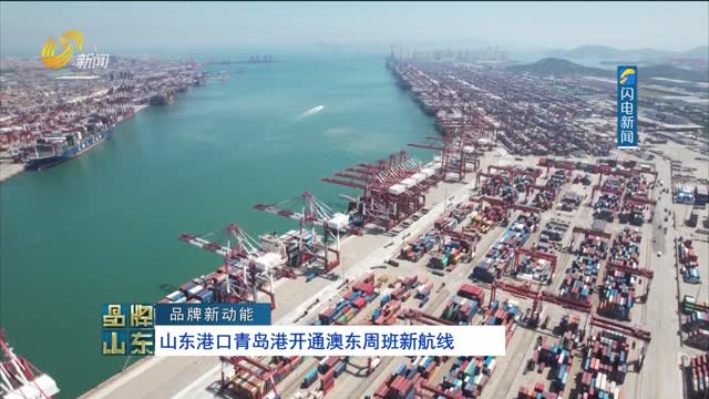 【品牌新动能】山东港口青岛港开通澳东周班新航线