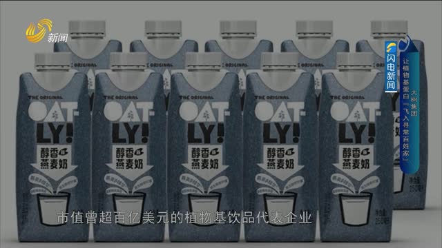 【品牌馨对话】大树集团：让植物基蛋白“飞入寻常百姓家”