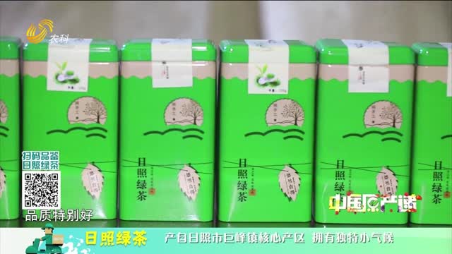 20260809《中国原产递》：日照绿茶