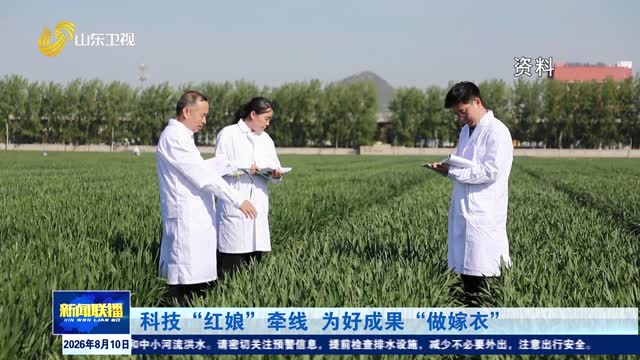 科技“红娘”牵线 为好成果“做嫁衣”