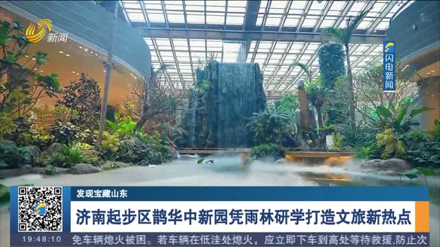 【发现宝藏山东】济南起步区鹊华中新园凭雨林研学打造文旅新热点