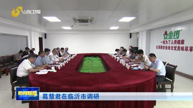 葛慧君在临沂市调研