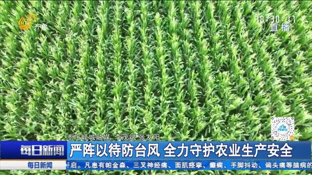严阵以待防台风 全力守护农业生产安全