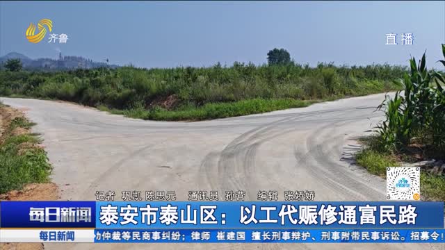 泰安市泰山区：以工代赈修通富民路