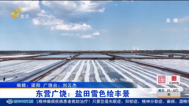东营广饶：盐田雪色绘丰景
