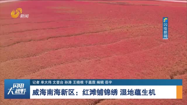威海南海新区：红滩铺锦绣 湿地蕴生机