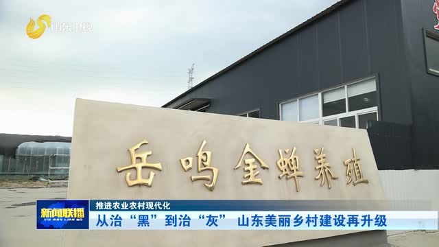 从治“黑”到治“灰” 山东美丽乡村建设再升级【推进农业农村现代化】