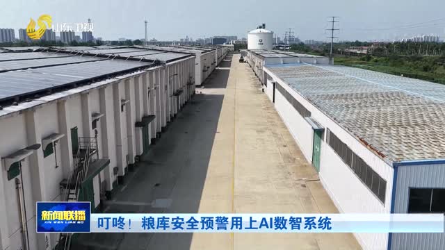 叮咚！粮库安全预警用上AI数智系统