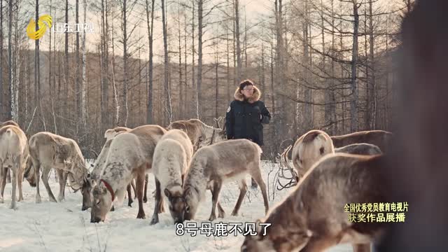 【新时代先锋】一“鹿”追寻