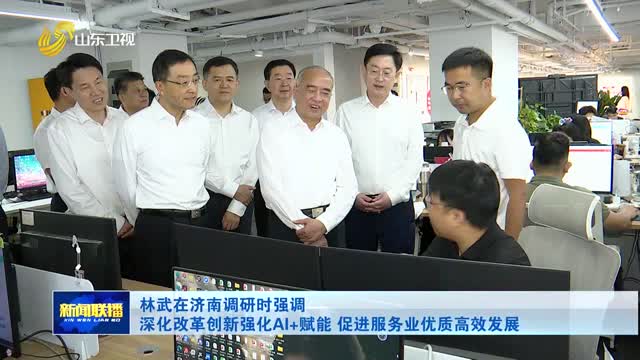 林武在济南调研时强调 深化改革创新强化AI+赋能 促进服务业优质高效发展