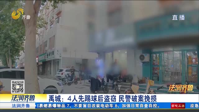 《法治现场》禹城：4人先踢球后盗窃 民警破案挽损